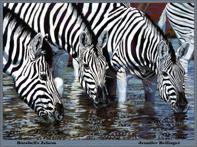 [Animal Painting] Jennifer Bellinger - Burchell's Zebras {!--초원얼룩말-->; DISPLAY FULL IMAGE.