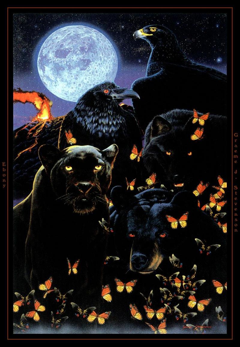[Animal Art] Black Panther {!--흑표범--> and black eagle, bear, wolf, crow; DISPLAY FULL IMAGE.