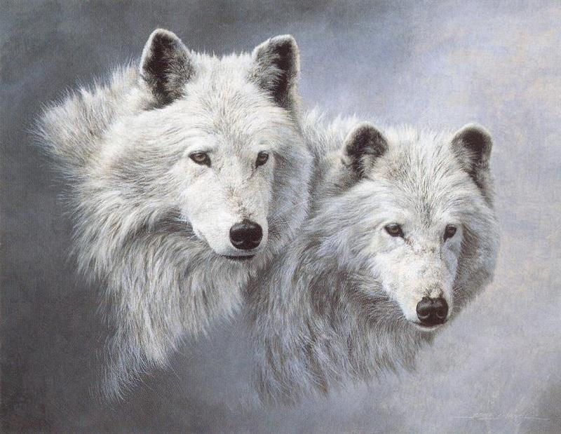 [Animal Art] Arctic Wolves (Canis lupus arctos) {!--북극이리, 북극늑대--> - Snow Spirits; DISPLAY FULL IMAGE.
