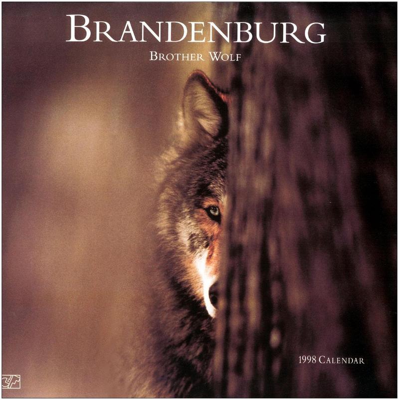 Jim Brandenburg: Brother Wolf 1998 calendar - Gray Wolf; DISPLAY FULL IMAGE.