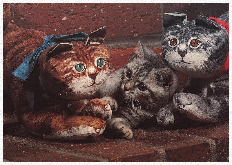 Kitten{!--새끼/아기 고양이--> and kittens; DISPLAY FULL IMAGE.