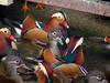 Mandarin Ducks