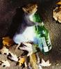 [Funny] Drunken Squirrel