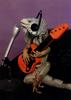 [Funny] Singer Iguana