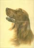 Painting: Dog - 319095.jpg