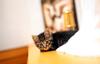 Kametaro's Cats Collection: Pure Cats Vol. 9 - Kitten - 117