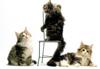 Kametaro's Cats Collection: Pure Cats Vol. 18~20 - Kitten - 214