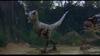 [DVD capture] Jurassic Park III - Velociraptor