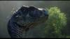 [DVD capture] Jurassic Park III - Velociraptor