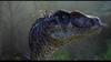 [DVD capture] Jurassic Park III - Velociraptor