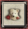 animal picture