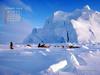 KOPRI Calendar 2004.02: Sled Dogs