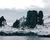 [Antarctic Animals] Penguin colony