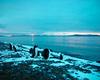 [Antarctic Animals] Gentoo Penguins (Pygoscelis papua) under Sunset