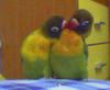 Polly & Johnny