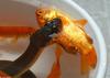 Animal Lunch - Animal bites014.jpg (1/1)