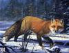 Catsmeat SDC 2003 - Weyer Wildlife Calendar 02: Red Fox - oil painting by R. W. Hedge