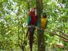 Birds in Love!