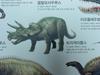 [공룡] 트리케라톱스(Triceratops)