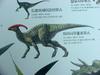 [공룡] 파라사우롤로푸스(Parasaurolophus)
