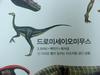 [공룡] 드로미세이오미무스(Dromiceiomimus)