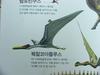 [공룡] 퀘찰코아틀루스(Quetzalcoatlus)