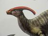 파라사우롤로푸스(Parasaurolophus) 머리부분