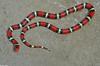 Scarlet King Snake (Lampropeltis triangulum elapsoides)