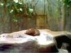 OTTERS