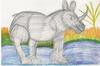 RHINO