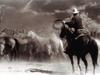 Cowboy and Horses - Round 'Em Up