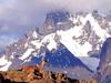 Guanaco, Lama guanicoe, Torres del Paine, Chile (Llama)