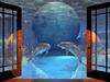 Together (Morphing Dolphins)