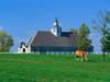 Donamire Horse Farm, Lexington, Kentucky