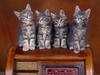 Radio Tuners, Maine Coon Kittens (Cats)