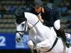 Leap of Faith (Horse)