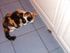 Kitty with friend
