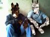 donkey brothers