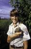 Masked Bobwhite Quail (Colinus virginianus ridgewayi)