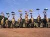 Elephantine guard of honor