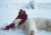 Polar Bear (Ursus maritimus)