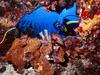 [Daily Photos CD 03] Bonaire Netherlands Antilles