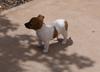 Milly's big day out 1