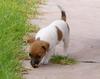 Milly's big day out 3