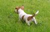 Milly's big day out 4