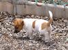 Milly's big day out 5