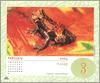 [xLR8 Frogs 2004 Box Calendar] 062 Slender-legged Treefrog - Osteocephalus sp.