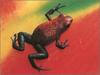 [xLR8 Frogs 2004 Box Calendar] 099 Strawberry poison dart frog - Dendrobates pumilio