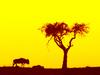 [Gallery CD01] (Gnu) Going Alone