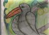 TOUCAN